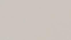 VP Platinum Grey painting