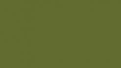 VQ Light Green painting