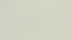 5C AV Ivory