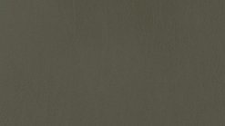 5C VF Mud Green