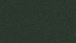 Thema 5044
