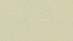 Leather Thema 5072