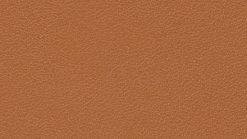 Leather Thema 5184
