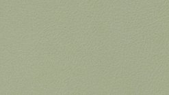 Leather Thema 5210