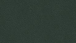 Leather Thema col. 6128