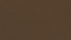 Thema 6137