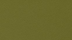 Thema 6182