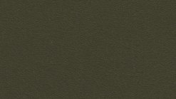 Leather Thema 6261